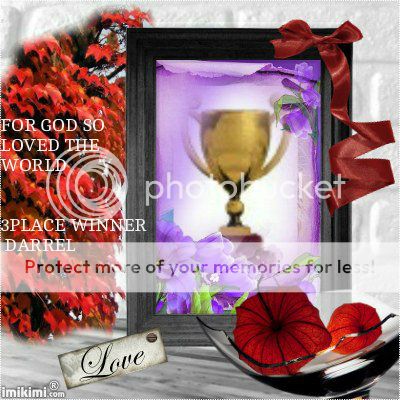 PURPLETROPHYWITHREDFLOWERS