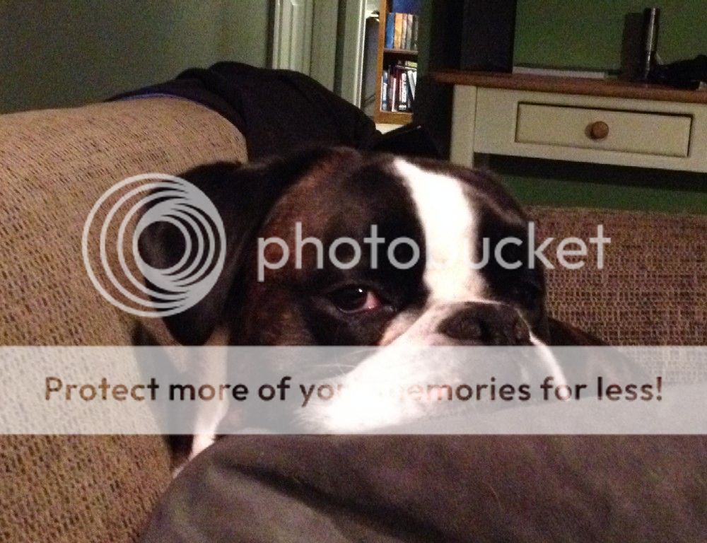 Where Can I Get A Biopsy Free For My Dog Where Can I Get A Biopsy Free For My Dog