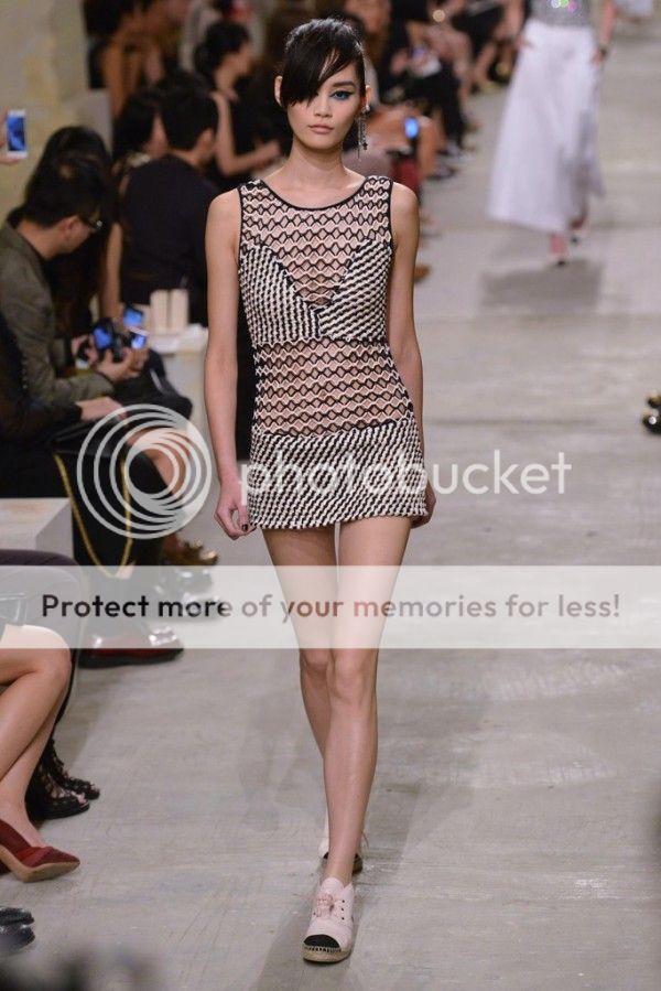 photo Chanel-Resort-2014-Collection-49-600x899_zpsca8eef87.jpg