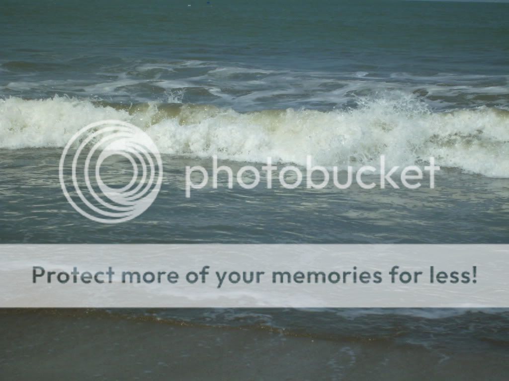 More Surf Pictures, Images and Photos