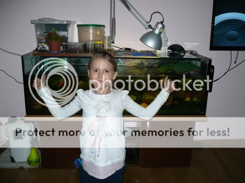 P1010319_zps85fd5bc4.jpg