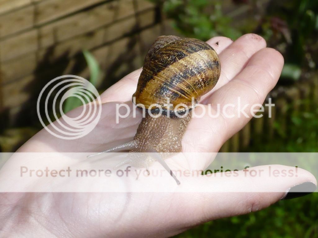 P1010763_zpsbc7fd8f4.jpg