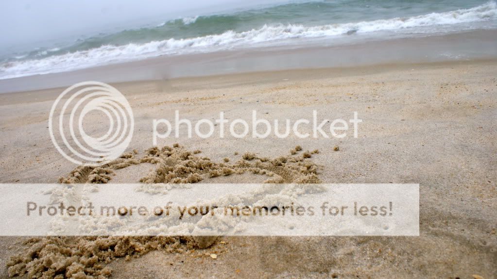 heart Pictures, Images and Photos