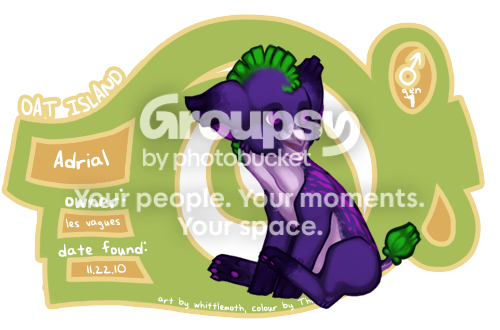 User Image