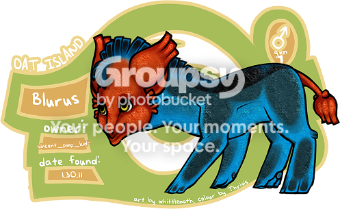 User Image