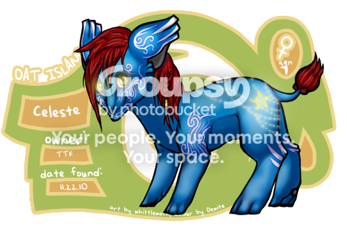 User Image