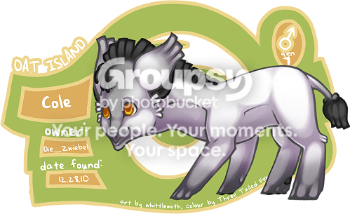 User Image