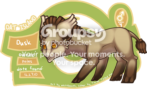 User Image
