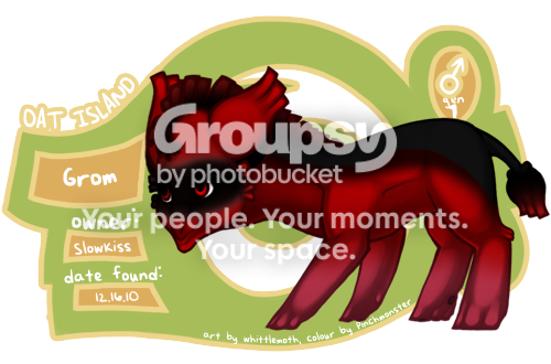 User Image