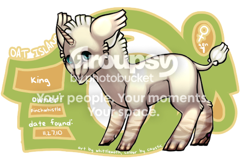 User Image