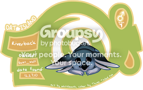 User Image