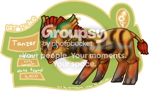 User Image