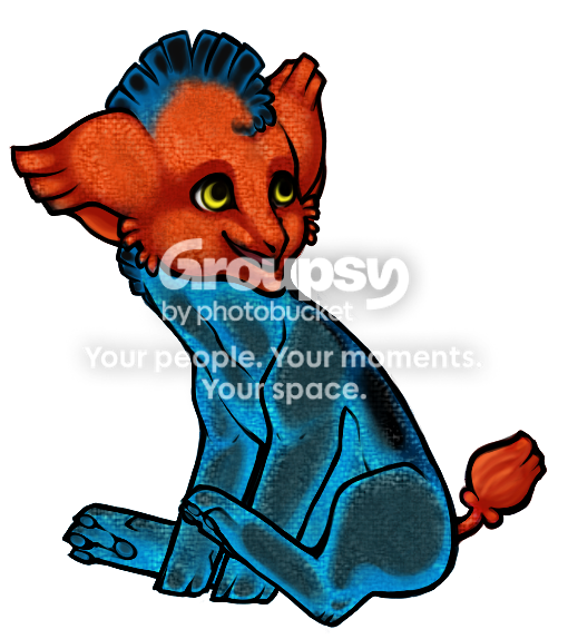 User Image